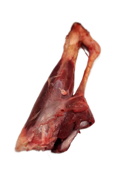 Bush to Bowl Raw Frozen Shank Bones – Venison, Goat, Veal & Lamb (Whole)